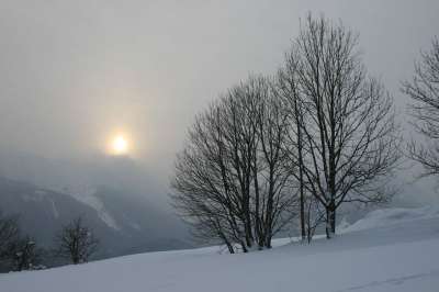日落 冬天 树 寒冷的 雪 多雾路段