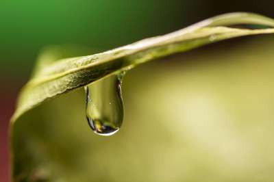 降低 水 绿色 水滴 蓝色的 液体 雨 干净的 气泡 湿的