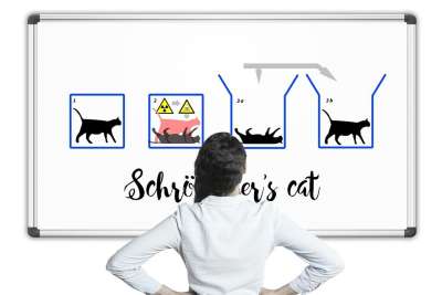 物理 薛定谔的猫 薛定谔 量子力学 悖论 猫 实验 白板 板
