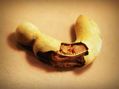 罗望子 孤立 成熟 香料 热带 点心 白色的 甜的 剥 棕色