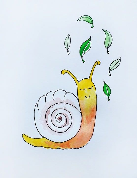 蜗牛 微笑 叶子 儿童插画 水彩 油漆 艺术 草图 儿童读物