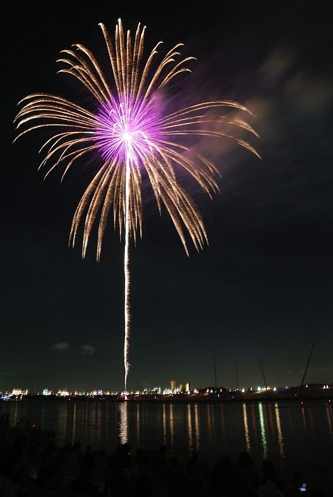 棕榈 烟花 Hanabi 节日 丰富多彩的 黄色 紫色的 花朵