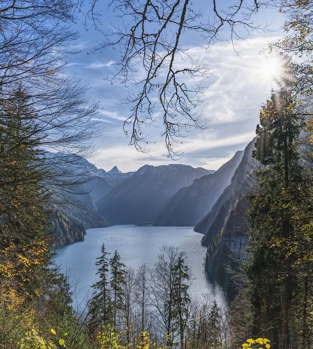 Königssee 外表 湖 水 巴伐利亚 树木 山 冷静的