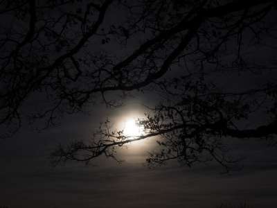 月亮 月光 满月 幽灵般的 日落 黑暗的 夜晚 童话 太阳
