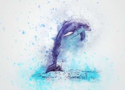 海豚 跳 动物 艺术 抽象 优质的 水彩 海 自然 艺术的