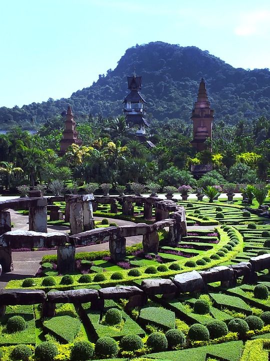 东巴 花园 公园 东吴热带花园 植物园 植物 景观 旅游景点