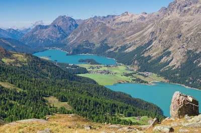 湖泊 森林 山 山景 观点 山脉 阿尔卑斯山 高山 谷 山谷