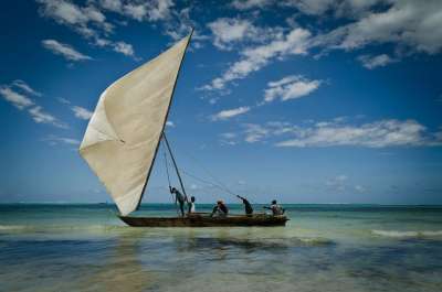 桑给巴尔岛 船 帆 日落 放松 海 水 海洋 旅行 帆艇
