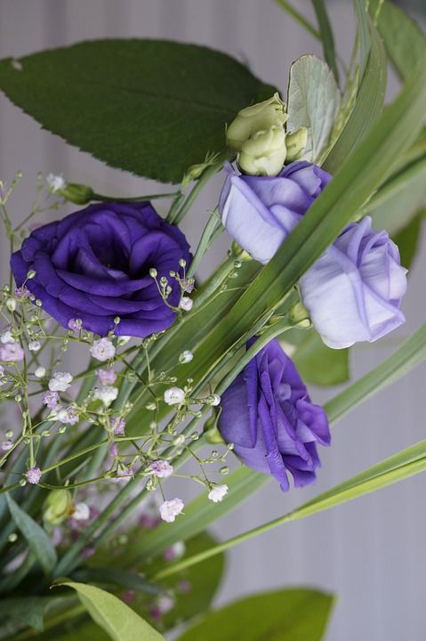 紫色的 花 开花 一束花朵 节日 紫色 关闭 鸵鸟 装饰性的