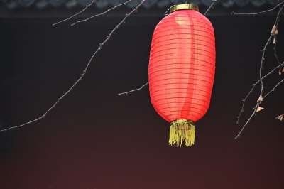 灯笼 装饰 节日 展示 亚洲