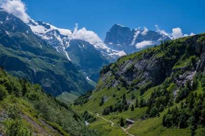 山 阿尔卑斯山 全景 远足 外表 景观 瑞士 首脑 高山全景
