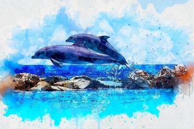 海豚 跳 海 艺术 水彩 优质的 动物 艺术的 抽象 设计