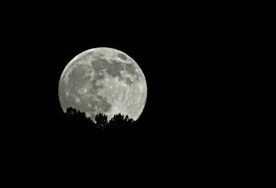 月亮 满月 夜晚 黑暗的 黄昏 天空 背景 看法 土耳其 森林