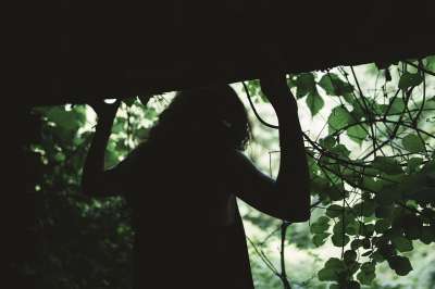 人们 女士 黑暗的 阴影 绿色 树叶 树木 植物 森林 旅行