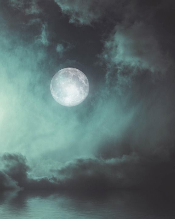 夜晚 月光 满月 黄昏 夜空 景观 黑暗的