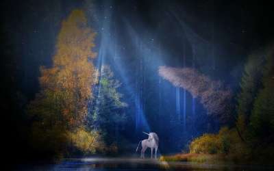 独角兽 童话 神秘生物 神秘 幻想 神话动物 森林 夜晚 情绪