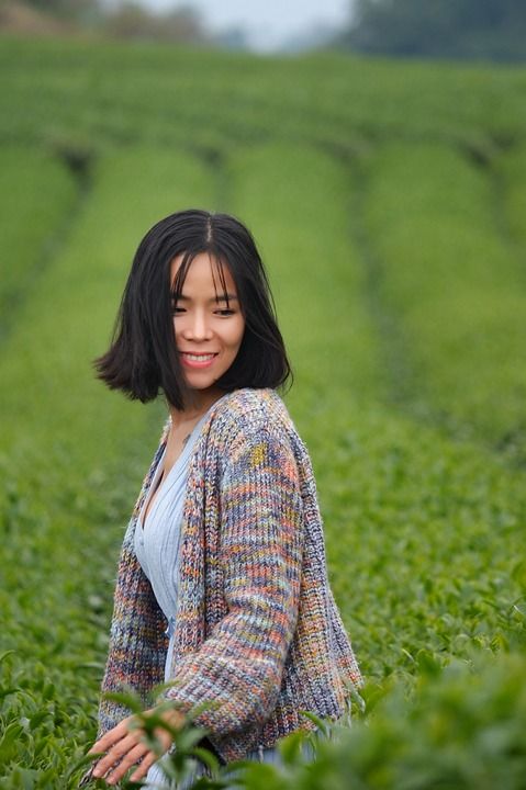 美丽的女孩 茶 场地 形状 亚洲 越南 春天 日本