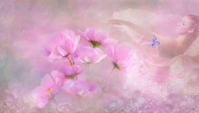 幻想 花 投标 舞蹈家 春天