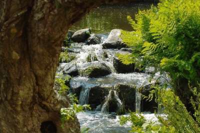 水 河 级联 自然 水课程 瀑布 景观 摩丝 当前 岩 植被