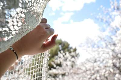 美丽的 自然 户外 树 生活方式 季节 女孩 夏天 松弛 新鲜