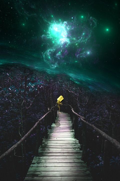空间 人类 天空 桥 森林 背景 故事 照相馆 梦幻般的