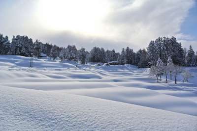 雪 山 冬季 景观 常绿 霜 北 天 自然 白色的 地面