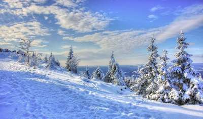 雪 冬天 寒冷的 霜 冻结 木头 季节 山 自然 冰淇淋