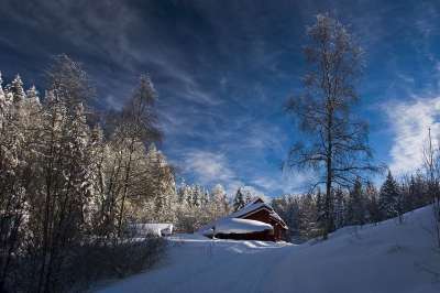 冬天 雪 天空 山寨 寒冷的 景观 性质 Østmarka 挪威
