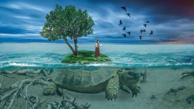 龟 树 自然 树木 景观 水 动物 幻想 爬虫 男人 沼泽