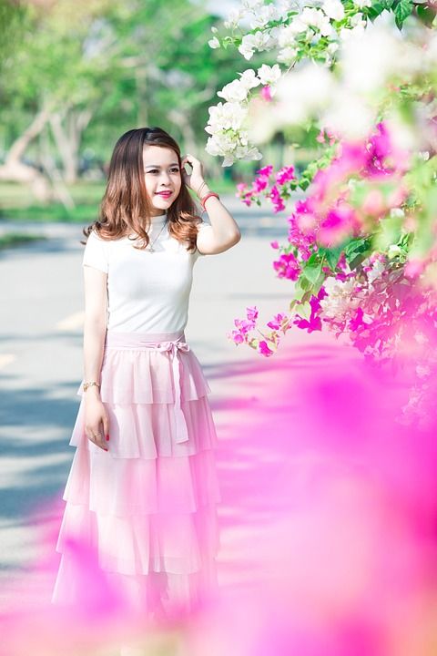 花 花园 自然 植物群 夏天 户外 盛开 花束 花的 叶子