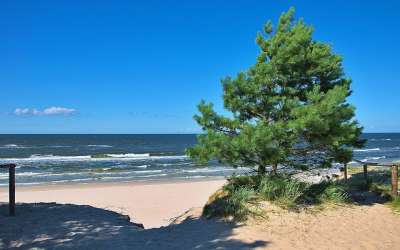 海 景观 海滩 入口处的沙滩上 砂 桑迪海滩 波罗的海 波兰