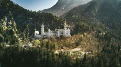 结构 建造 基础设施 新天鹅堡 地标 树木 植物 景观