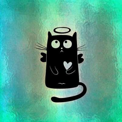 猫 荣耀 乐趣 可爱的 心 情人节 爱