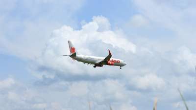飞机 狮子 航班 航空 运输 空气 航空公司