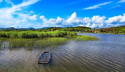 湖 芦苇 森林 树木 自然 天空 云 景观