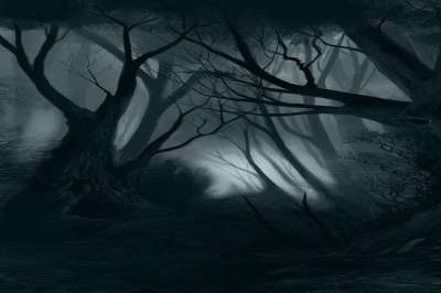 幻想 背景 闹鬼 黑暗的 场景 森林 树木 哥特 夜晚