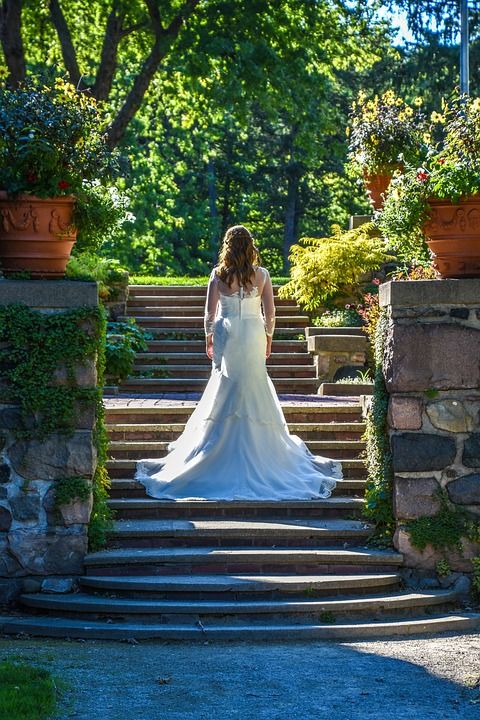楼梯 花园 婚礼 袍 新娘 人们 女士 树木 花 锅