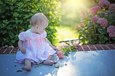 花园里的孩子 婴儿 学步的儿童 花园 夏天 早晨的阳光 晨光 庭园