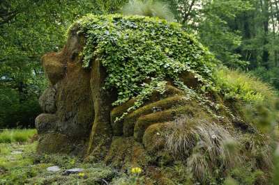 巨魔 侏儒 神秘生物 童话 长满青苔 苔藓 长满苔藓 植被