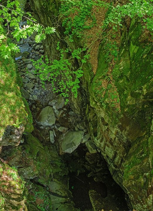 峡谷 河 山 丛林 森林 溪 荒野