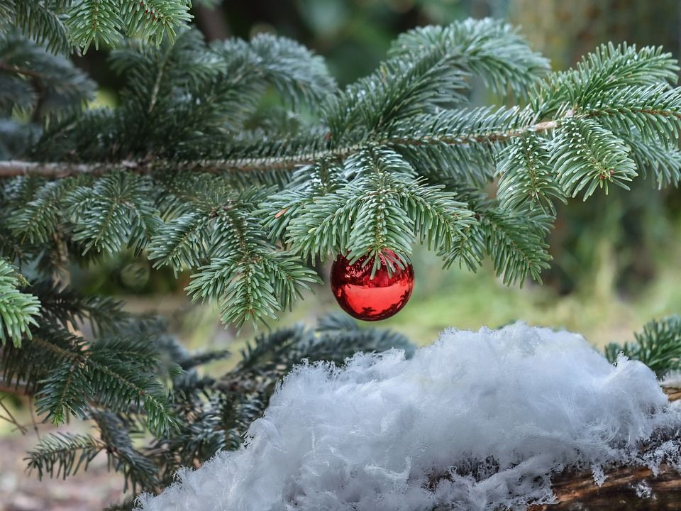圣诞节, 雪, Haareis, Eiswolle, 离奇的, 花丝, 投标