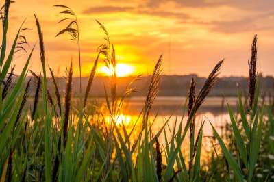 日出 希望 早晨 自然 冥想 夏天 和谐 阳光 自由 幸福