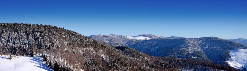 冬天, 全景, 雪, 森林, 自然, 景观, 山, 全景图像, 天堂, 寒冷的