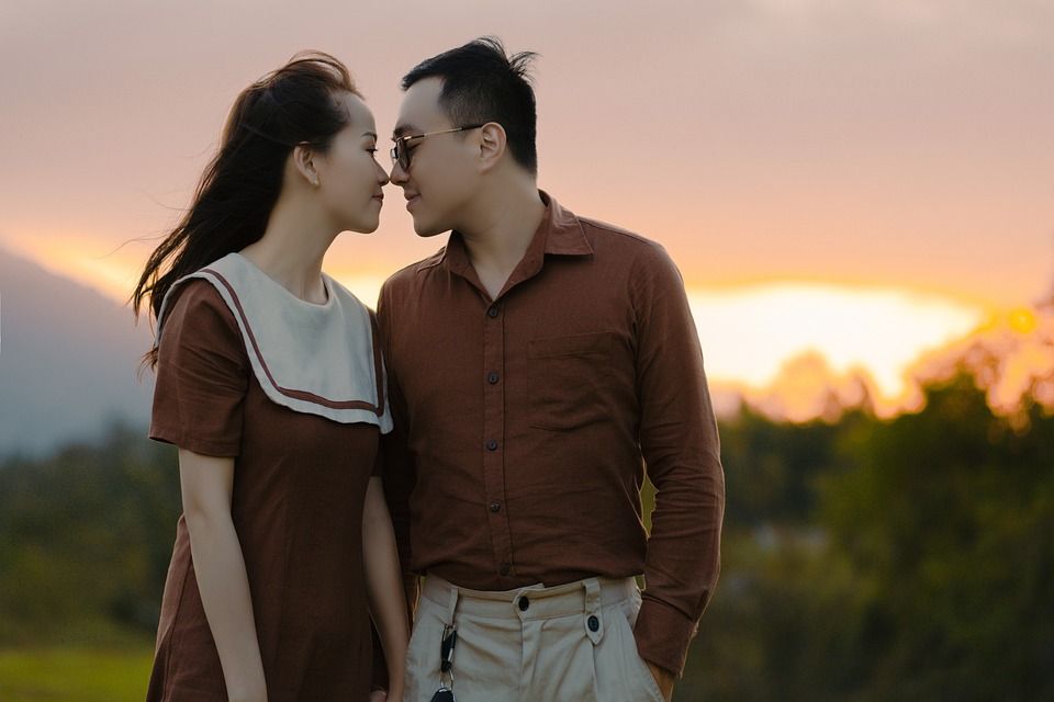 夫妻, 草地, 步行, 自然, 日落, 户外, 感情, 暮, 吻