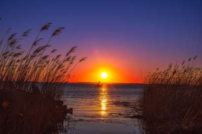 日落 波罗的海 海 日出 芦苇 湖 反射 地平线 风景 芦苇
