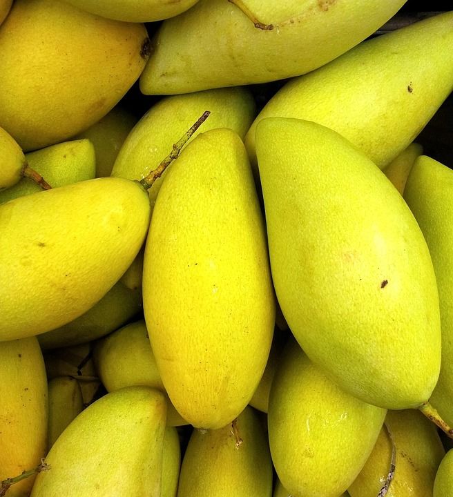 芒果 水果 新鲜的 健康 甜的 素食主义者 成熟 黄色 多汁的