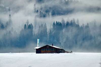 冬天 小屋 景观 多雾路段 滑雪小屋 巴伐利亚 基姆高 树木
