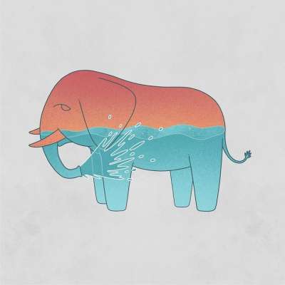 大象 喷 水 灵魂 海洋 动物 野生动物 创造力 轮廓 想象力