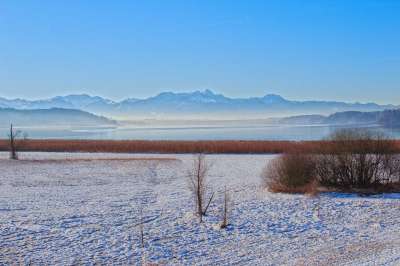 景观 冬天 阿尔卑斯山 吹风机 雪 多雾路段 湖 Simssee