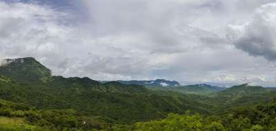 森林 碧差汶 泰国 树 绿色 山 云 旅游 回到地面 富达博